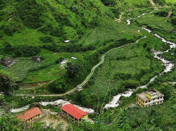 हावाहुरीले मकै बाली नष्ट